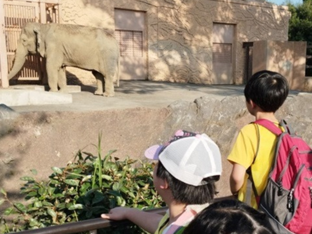 イベント活動（外出やお楽しみ会など）